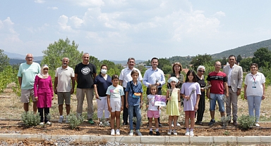 Köy yaşam merkezinde lavanta hasadı yapıldı