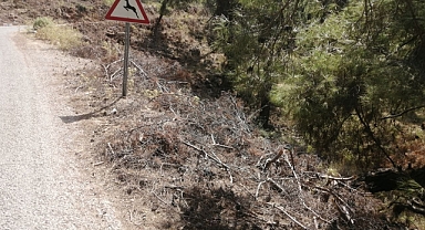 KURU AĞAÇ PARÇALARI YANGINA DAVETİYE ÇIKARTIYOR