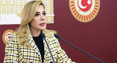 MİLLETVEKİLİ GÖKCAN'DAN '30 AĞUSTOS ZAFER BAYRAMI' MESAJI