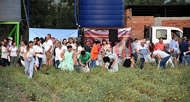 Muğla'da hasat şenliği heyecanı
