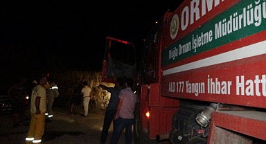 Tarım arazisinde çıkan yangın büyümeden söndürüldü