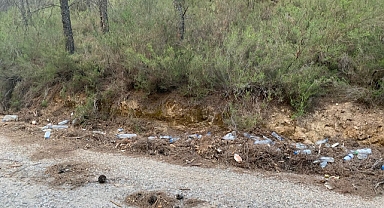 YOLA SAÇILAN ÇÖPLER TEPKİ ÇEKTİ