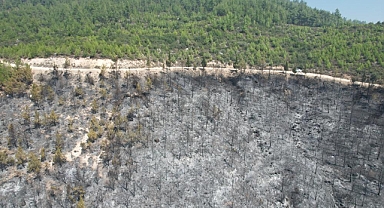 100 HEKTAR KÜLE DÖNDÜ