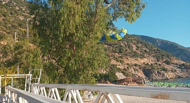 1700 METREDEN ATLADI, AĞAÇTA ASILI KALDI