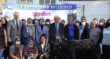 BÜYÜKŞEHİR YATAĞAN’DA KIL KEÇİSİ DAĞITACAK