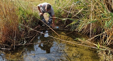 DALYAN KANALI ARTIK DAHA TEMİZ