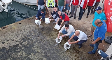 DENİZE 25 BİN ÇİPURA BIRAKILDI