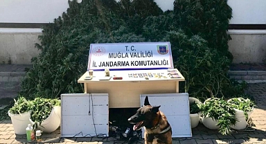 EVİNDE UYUŞTURUCU MADDE İMAL EDİP SATAN 2 ŞÜPHELİ YAKALANDI