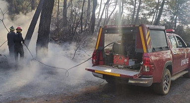 GÖKOVA YANGINDA 50 HEKTAR ALAN ZARAR GÖRDÜ