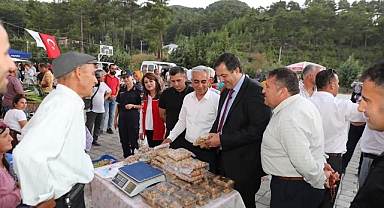 İNCİR DALAMAN'DA DA ÜRETİLMEYE BAŞLANDI