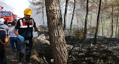 JANDARMA EKİPLERİNİN YANGIN BÖLGESİNDE İNCELEMELERİ SÜRÜYOR