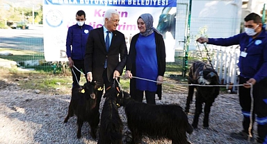 KIL KEÇİSİ PROJESİ MEYVELERİNİ VERİYOR