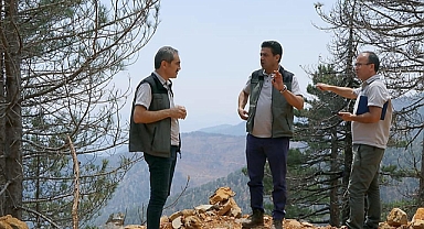 KÖYCEĞİZ’DE YANAN ORMANLARDA YARALAR SARILIYOR