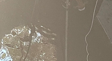 KUYUYA DÜŞEN BUZAĞI KURTARILDI