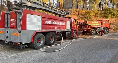 MAYTAP İLE ORMANI YAKTILAR