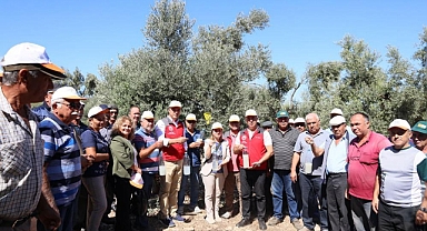 MUĞLA’DA İYİ TARIM UYGULAMALARI ÇALIŞMALARI YAPILIYOR