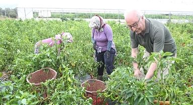 TARIMSAL ÜRETİMDEKİ SORUNLARA DANIŞMANLIK HİZMETİ ÇÖZÜMÜ