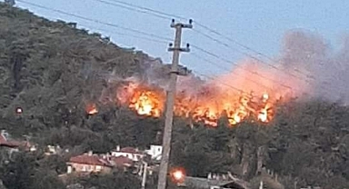 ULA'DA ORMAN YANGINI ÇIKTI