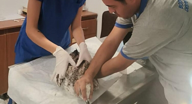 YARALI MARTI İÇİN SEFERBER OLDULAR