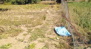 YATAĞAN-MİLAS KARAYOLU YİNE CAN ALDI