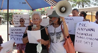 ZEHİRLENEREK ÖLDÜRÜLEN KEDİLER İÇİN EYLEM YAPTILAR