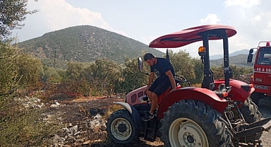 ZEYTİNLİKTE YANGIN PANİĞE NEDEN OLDU