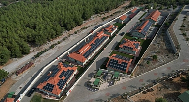 BÜYÜKŞEHİR CAN DOSTLARIN ENERJİSİNİ GÜNEŞTEN ÜRETECEK