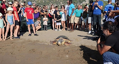 DENİZ KAPLUMBAĞALARI ÖZGÜRLÜĞE KULAÇ ATTI