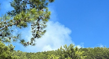 FETHİYE’DE ORMAN YANGINI