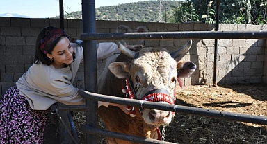 GENÇ KIZIN BOĞA SEVGİSİ ŞAŞIRTIYOR