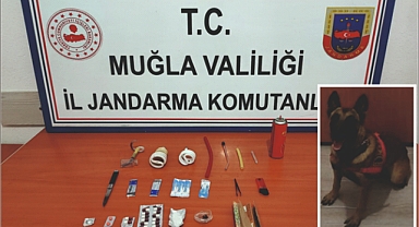 JANDARMA’NIN DETEKTÖR KÖPEĞİ UYUŞTURUCUYA GEÇİT VERMEDİ