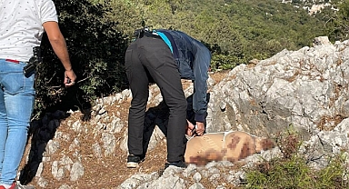 KANLI PAKET EKİPLERİ HAREKETE GEÇİRDİ