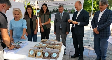 KÖYCEĞİZ’DE HAYVANLARI KORUMA FARKINDALIK ETKİNLİĞİ DÜZENLENDİ