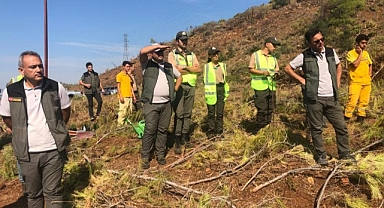 KÖYCEĞİZ VE DALAMAN ORMAN İŞLETMELERİNİN SİLVİKÜLTÜR TATBİKATI YAPILDI
