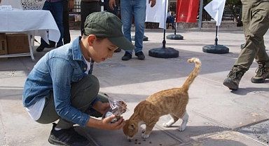MENTEŞE'DE KEDİ VE KÖPEKLERE MAMA DAĞITILDI