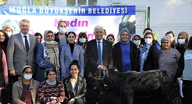 MUĞLA BÜYÜKŞEHİR BELEDİYESİ YATAĞAN’DA KIL KEÇİSİ DAĞITIYOR