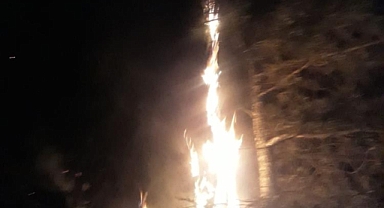 ORTACA’DAKİ YILDIRIM YANGINI KONTROL ALTINA ALINDI