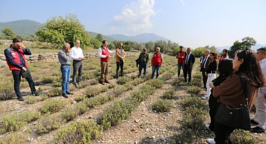 TREND ANALİZLERİ DEĞERLENDİRME TOPLANTISI GERÇEKLEŞTİ