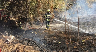 ANIZ YANGINI BÜYÜMEDEN SÖNDÜRÜLDÜ