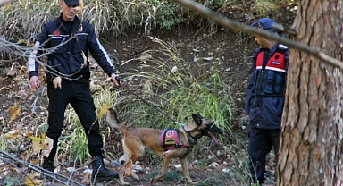 BAYRAM TOSUN’UN CESEDİ İLK GÜN BULUNAMADI