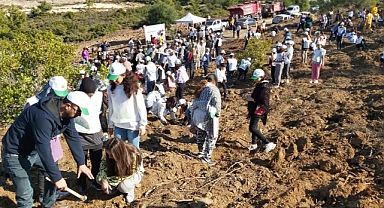 DATÇA’DA BİN ADET HARNUP VE KIZILÇAM FİDANI DİKİLDİ