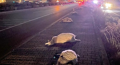 FETHİYE’DE TRAFİK KAZASI 12 CAN KAYBI