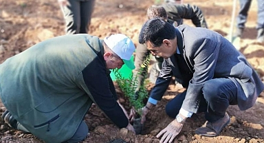 KÖYCEĞİZ’DE MİLLİ AĞAÇLANDIRMA GÜNÜ NEDENİYLE FİDAN DİKİLDİ
