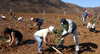 MARMARİS’TE YANAN ALANDA 11 BİN FİDAN DİKİLDİ