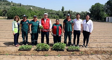MENTEŞE BELEDİYESİNDEN TARIM VE HAYVANCILIĞA DESTEK