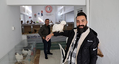 MENTEŞE’DE KÜMES HAYVANLARI GÖSTERİSİ BAŞLADI