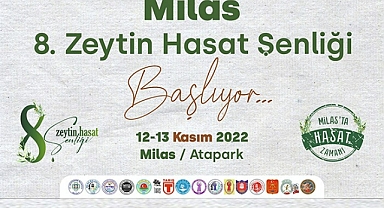 MİLAS’TA BU HAFTA SONU ZEYTİN HASAT ŞENLİĞİ DÜZENLENECEK