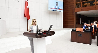 MİLLETVEKİLİ GÖKCAN: 