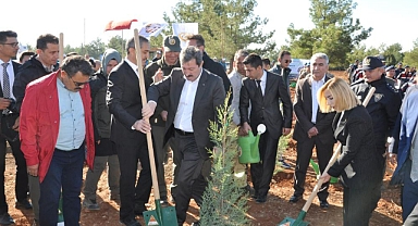 MUĞLA’DA 253 BİN FİDAN TOPRAKLA BULUŞTU