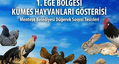 MUĞLA’DA BİRBİRİNDEN ÇEŞİT SÜS HAYVANLARI KIYASIYA YARIŞACAK